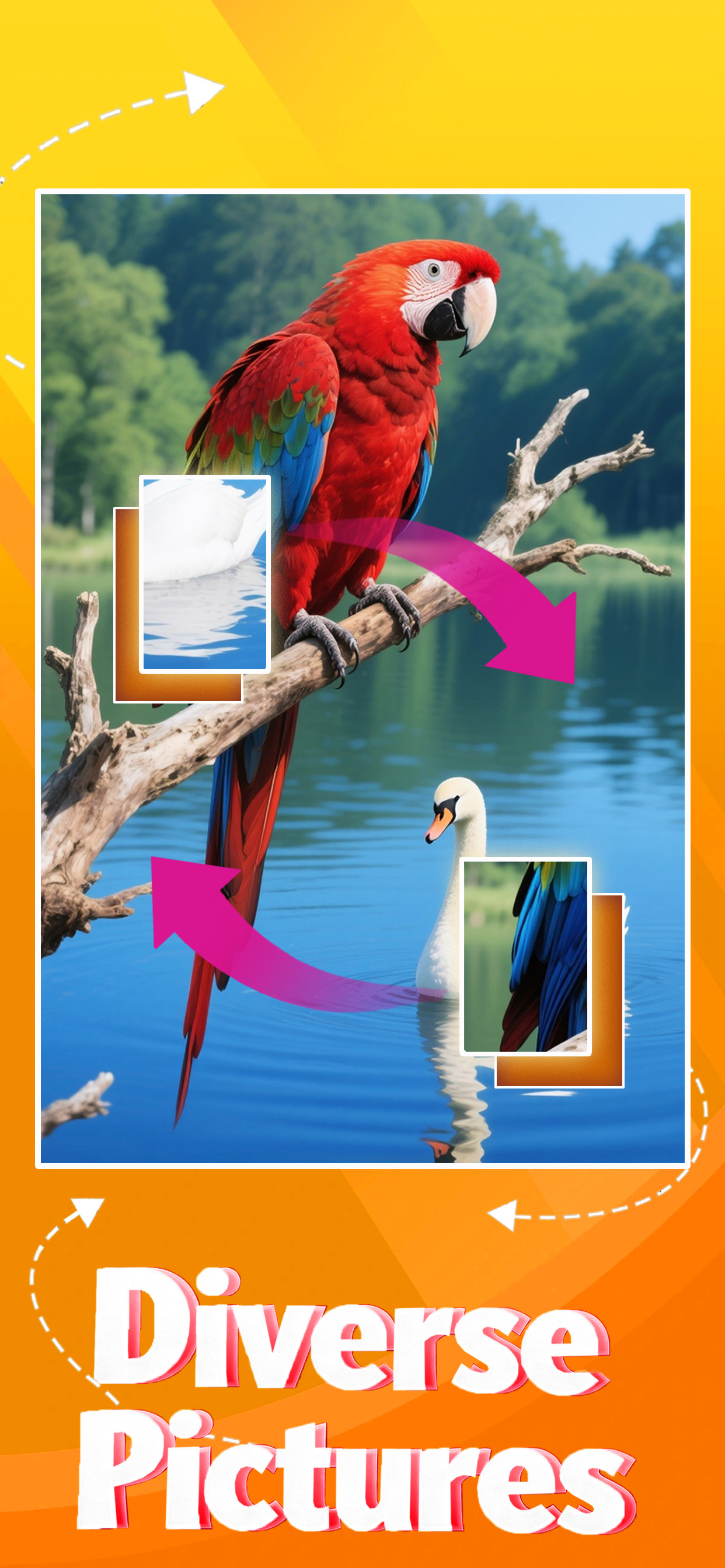 Jigblock Puzzles picture swapping challenge featuring a parrot